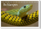 Schlangen (Tischkalender 2024 DIN A5 quer), CALVENDO Monatskalender