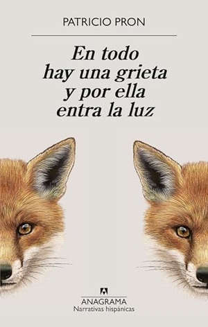 Pron, Patricio. En Todo Hay Una Grieta Y Por Ella Entra La Luz. Anagrama, 2026.