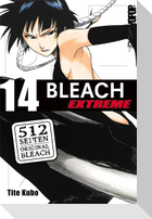 Bleach EXTREME 14