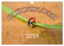 Marienkäfer 2024 (Wandkalender 2024 DIN A4 quer), CALVENDO Monatskalender
