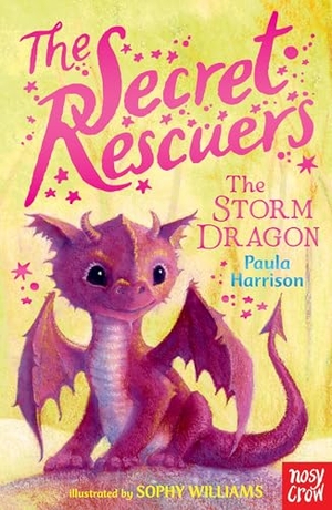 Harrison, Paula. The Secret Rescuers - The Storm Dragon. , 2015.