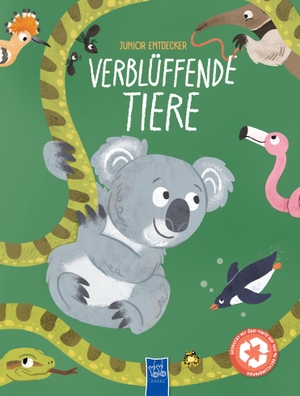 Hay, Thea. Junior-Entdecker - Verblüffende Tiere. Yo Yo Books, 2026.