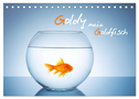 Goldy - mein Goldfisch (Tischkalender 2024 DIN A5 quer), CALVENDO Monatskalender