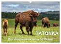 TATONKA Der nordamerikanische Bison (Wandkalender 2024 DIN A3 quer), CALVENDO Monatskalender