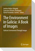 The Environment in Galicia: A Book of Images