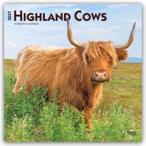 Publishers, Browntrout. Highland Cows - Hochlandrinder 2027 - 16-Monatskalender - Original BrownTrout-Kalender [Mehrsprachig] [Kalender]. Browntrout Verlags GmbH, 2026.