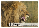 Löwen. Majestätische Kraft (Wandkalender 2024 DIN A2 quer), CALVENDO Monatskalender