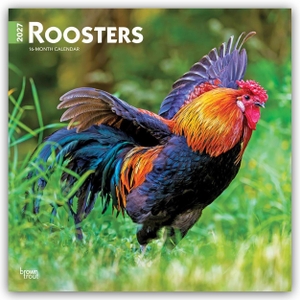 Publishers, Browntrout. Roosters - Hähne 2027 - 16-Monatskalender - Original BrownTrout-Kalender [Mehrsprachig] [Kalender]. Browntrout Verlags GmbH, 2026.