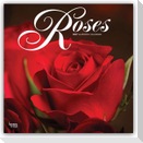 Roses - Rosen 2027 - 16-Monatskalender