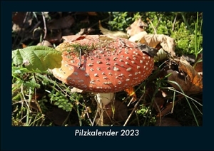 Tobias Becker. Pilzkalender 2023 Fotokalender DIN A5 - Monatskalender mit Bild-Motiven aus Fauna und Flora, Natur, Blumen und Pflanzen. Vero Kalender, 2022.