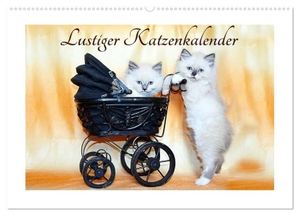 Chrystal, Jennifer. Lustiger Katzenkalender (Wandkalender 2024 DIN A2 quer), CALVENDO Monatskalender - Diese 12 lustigen und süßen Katzenfotos zaubern ein Lächeln in jedes Gesicht.. Calvendo, 2023.