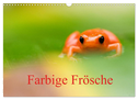 Farbige Frösche (Wandkalender 2025 DIN A3 quer), CALVENDO Monatskalender