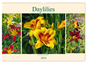 Daylilies - Delicate Beauties of the Summer (Wall Calendar 2024 DIN A3 landscape), CALVENDO 12 Month Wall Calendar
