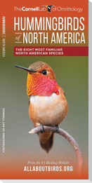 Hummingbirds of North America