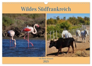 Schaack, René. Wildes Südfrankreich (Wandkalender 2025 DIN A3 quer), CALVENDO Monatskalender - Einzigartige Tiere und Vögel der Provence. Calvendo, 2024.