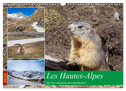 Les Hautes-Alpes sur les chemins des marmottes (Calendrier mural 2025 DIN A3 vertical), CALVENDO calendrier mensuel