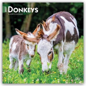 Publishers, Browntrout. Donkeys - Esel 2027 - 16-Monatskalender - Original BrownTrout-Kalender [Mehrsprachig] [Kalender]. Browntrout Verlags GmbH, 2026.