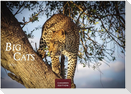 Big Cats Kalender 2027 - Wandkalender | Fotokalender Tierkalender 35x50cm - Wunderschöner Großkatzen-. mit beeindruckenden Fotos von Tiger| Löwen | Jaguar | Gepard | Luchs | Puma.