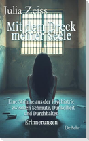 Mit dem Dreck meiner Seele - Eine Stimme aus der Psychiatrie - zwischen Schmutz, Dunkelheit und Durchhalten - Erinnerungen