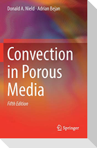 Convection in Porous Media