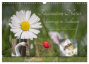 Faszination Natur Unterwegs in Südhessen (Wandkalender 2024 DIN A3 quer), CALVENDO Monatskalender