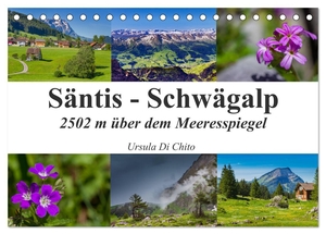 Di Chito, Ursula. Säntis - Schwägalp (Tischkalender 2024 DIN A5 quer), CALVENDO Monatskalender - Impressionen der Schweizer Bergwelt - Der Säntis. Calvendo, 2023.