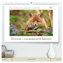 Füchse - zauberhafte Seelen (hochwertiger Premium Wandkalender 2024 DIN A2 quer), Kunstdruck in Hochglanz