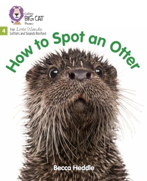 Heddle, Becca. How to Spot an Otter - Phase 4 Set 2. HarperCollins Publishers, 2021.