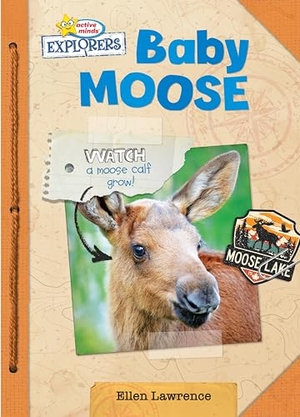 Lawrence, Ellen. Baby Moose. Phoenix International Publications, Inc., 2022.