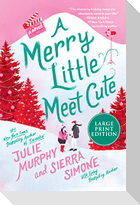 A Merry Little Meet Cute