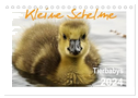 Kleine Schelme - Tierbabys (Tischkalender 2024 DIN A5 quer), CALVENDO Monatskalender