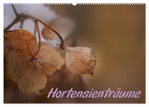 Petra Voß, Ppicture. Hortensienträume (Wandkalender 2025 DIN A2 quer), CALVENDO Monatskalender - Zarte Hortensienblüten im Detail - farbenfroh und anmutig. Calvendo, 2024.