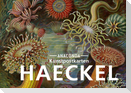 Postkarten-Set Ernst Haeckel