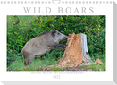 Wild Boars (Wall Calendar 2022 DIN A4 Landscape)