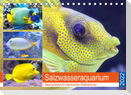 Salzwasseraquarium. Meeresfische im heimischen Wohnzimmer (Tischkalender 2022 DIN A5 quer)