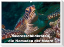 Meeresschildkröten, die Nomaden der Meere (Wandkalender 2025 DIN A2 quer), CALVENDO Monatskalender