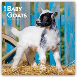 Publishers, Browntrout. Baby Goats - Ziegenbabys 2027 - 16-Monatskalender - Original BrownTrout-Kalender [Mehrsprachig] [Kalender]. Browntrout Verlags GmbH, 2026.