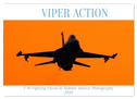 VIPER ACTION - F-16 FIGHTING FALCON (Wandkalender 2024 DIN A2 quer), CALVENDO Monatskalender