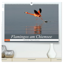 Flamingos am Chiemsee (hochwertiger Premium Wandkalender 2025 DIN A2 quer), Kunstdruck in Hochglanz