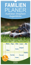 Familienplaner 2025 - Australian Shepherd - Augenblicke mit 5 Spalten (Wandkalender, 21 x 45 cm) CALVENDO