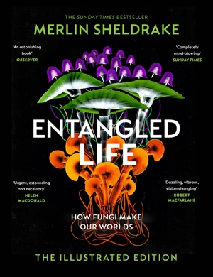 Sheldrake, Merlin. Entangled Life (The Illustrated Edition) - A beautiful new gift edition featuring 100 illustrations for Christmas 2023. Random House UK Ltd, 2023.