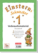 Einsterns Schwester - Erstlesen 1. Schuljahr Grundschrift: 6 Buchstabenhefte und Begleitheft im Schuber