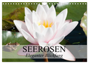 Seerosen - Eleganter Blickfang (Wandkalender 2025 DIN A4 quer), CALVENDO Monatskalender