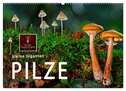 Pilze - kleine Giganten (Wandkalender 2024 DIN A2 quer), CALVENDO Monatskalender
