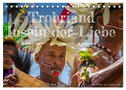 Trobriand Inseln der Liebe (Tischkalender 2024 DIN A5 quer), CALVENDO Monatskalender