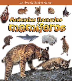 Kalman, Bobbie / Kristina Lundblad. Animales Llamados Mamíferos (Animals Called Mammals). Crabtree Publishing Company, 2007.