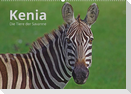 Kenia - Die Tiere der Savanne (Wandkalender 2023 DIN A2 quer)