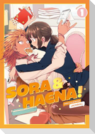Sora and Haena! Volume 1