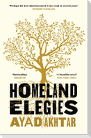 Homeland Elegies