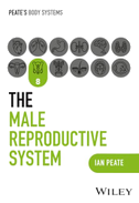 The Male Reproductive System